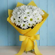 Букет цветов из:  Хризантемы в Дятьково