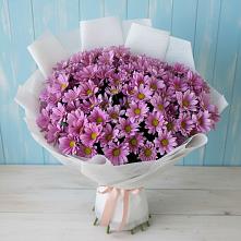 Букет цветов из:  Хризантемы в Дятьково