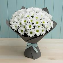 Букет цветов из:  Хризантемы #REPLACE_PRED# Дятьково