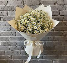Букет цветов из:  Ромашки #REPLACE_PRED# Дятьково