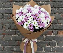 Букет цветов из:  Хризантемы в Дятьково