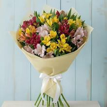 Букет цветов из:  Альстромерии в Дятьково