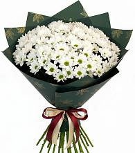 Букет цветов из:  Хризантемы в Дятьково