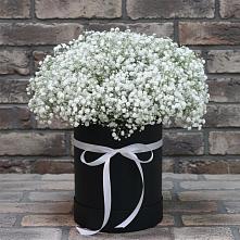 Цветочная композиция из Гипсофила в шляпной коробке в Дятьково