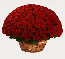 Премиум букет из: Розы в Дятьково