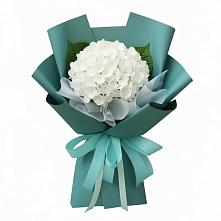 Букет цветов из:  Гортензия в Дятьково